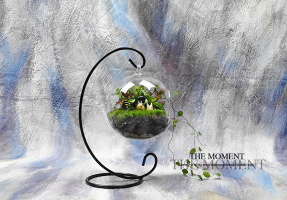 

Декоративное мини-растение Time order The Moment