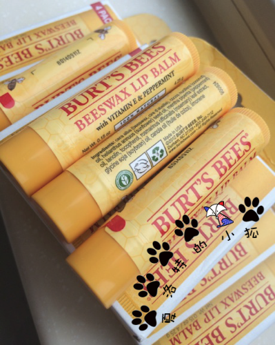 

Burt's bees Burt's Bees