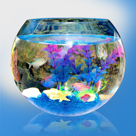 爱逛街为您找到圆形玻璃金鱼缸相关的宝贝,您可以在下面的板块中挑选