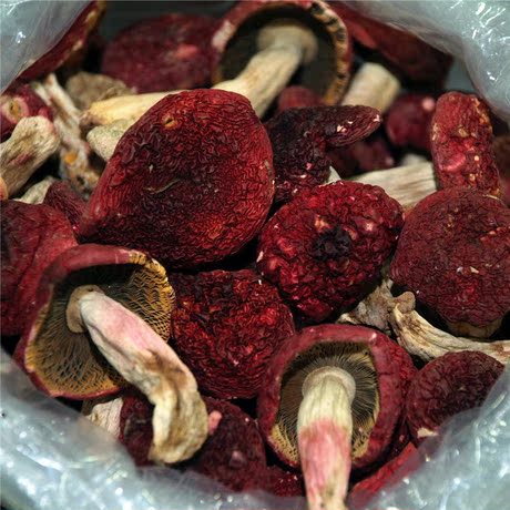 【特级】浦北正宗红菇红椎林野生菌产妇养生月子补|血红菇500g