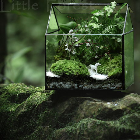 小森林【幻想家】原创水晶手作diy创意生日礼物 苔藓微景观生态瓶