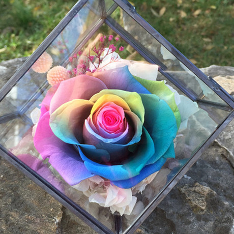 七彩永生花礼盒进口巨型玫瑰花玻璃罩保鲜干花情人节礼物广州速递