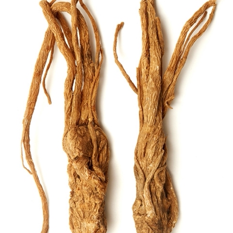 【欧白芷精油】_当归精油图片_价格_搭配分享 - 爱逛街