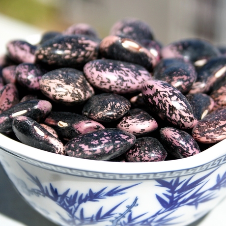 爱逛街为您找到大黑花芸豆相关的宝贝,您可以在下面的板块中挑选喜欢