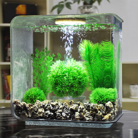 爱逛街为您找到亚克力生态小鱼缸相关的宝贝,您可以在下面的板块中