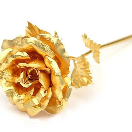 爱逛街为您找到金玫瑰花相关的宝贝,您可以在下面的板块中挑选喜欢的