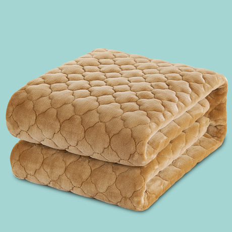 毛毯加厚冬季加绒毛绒床单夹棉珊瑚绒法莱单人铺床毯单件双人床