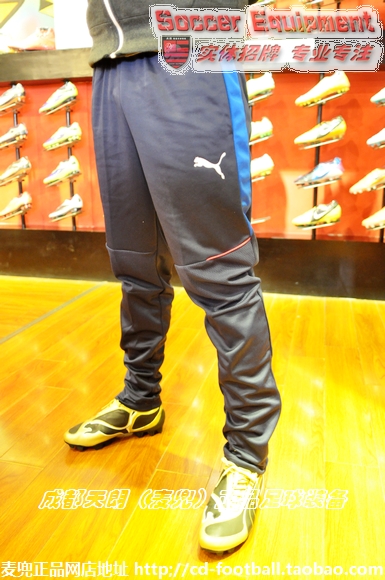 

Брюки спортивные Puma 2015 747001-04
