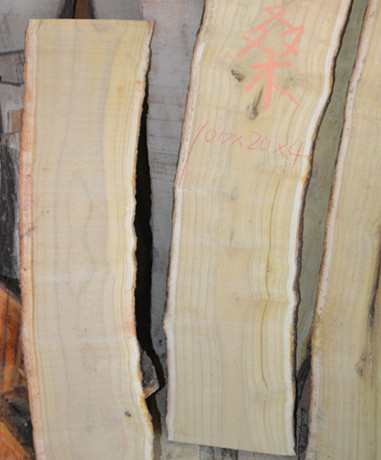 黄桑木木材黄金木桑树桑葚弓料 单体弓英格兰长弓角弓弓胎料 雕刻