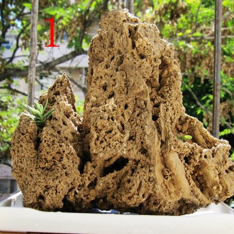 爱逛街为您找到吸水石盆景相关的宝贝,您可以在下面的板块中挑选喜欢