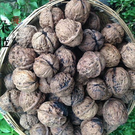 10元不限重 2015年新晒干的云南野生老树干核桃