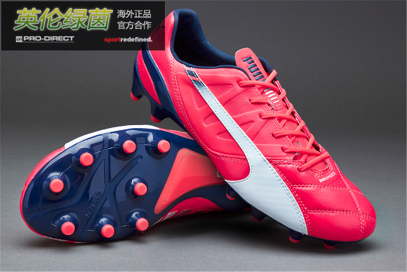 

бутсы Puma Evospeed 1.3 LTH FG 10301003