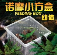 Коробка для размножения коробки Xiaofang, Lartte Spider Scorpion, ящик для размножения, защита Lartice, тюрьма, дышащий можно сложить