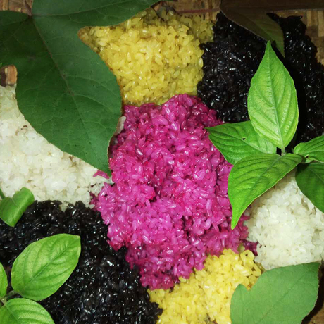 爱逛街为您找到贵州特产糯米饭相关的宝贝,您可以在下面的板块中挑选