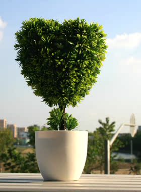 家装狂欢节文艺清新可爱摆件母亲节情人节七夕女朋友love仿真植物