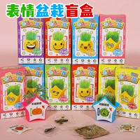 10 горшок для выражения кофе из горшечных ящиков 10