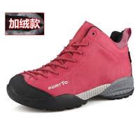 Роза красный плюс бархат (самка)