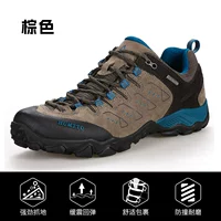 Коричневые низкие мужчины