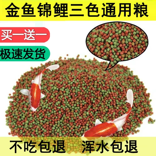 Золотая рыбка koi корм для наблюдения за рыбной едой обыкновенное развитие удобрения.