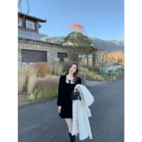 Короткий рабочий шелковый лебедь