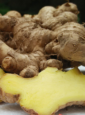 新鲜农家自种生姜小黄姜王窖藏老姜土姜有机姜黄肉富硒月子姜母