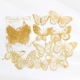 Dream Dream Butterfly Flying Material Pack 10