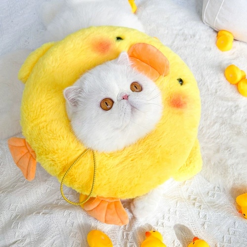 Пат -питомец Элизабет Круг Корт борьба с укусом и облизывание кружок Круг Утка Бэширует мягкую питательную прозрачную катее