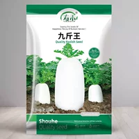 Девять фунтов короля короля редша 20 г оригинал