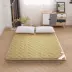 Tầng Mat Nệm Mat Tatami Nệm Người cao tuổi Mùa đông và Mùa hè Sử dụng kép Cotton Mềm Cứng Lưu trữ hai mặt Zipper nhỏ - Nệm