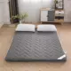 Tầng Mat Nệm Mat Tatami Nệm Người cao tuổi Mùa đông và Mùa hè Sử dụng kép Cotton Mềm Cứng Lưu trữ hai mặt Zipper nhỏ - Nệm