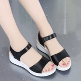 大坪山骆驼 Сексуальные элегантные туфли на платформе, сандалии, из натуральной кожи