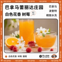 Panama Relida Manor Poputet изысканный стиральный писание неглубокая запеченная кофейная фасоль 227G