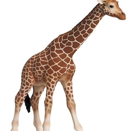 正品德国思乐schleich 动物塑胶模型 母长颈鹿 s14320