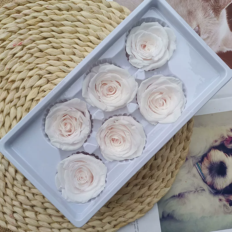Иммортальная/бессмертная цветочная Diy материал роза B-уровня real flower засушенные цветы высококлассный ручной букет капучино набор целая коробка