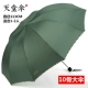 [Подлинный флагманский магазин] Dember Green incbrella-113 см диаметр