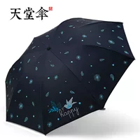 Летающий хепинг-тибец Цин