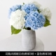 Ретро ваза +3 белая 3 синяя гортеня