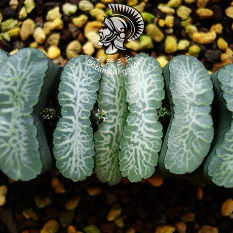 爱逛街为您找到白瓷万象相关的宝贝,您可以在下面的板块中挑选喜欢的