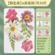 【Сухой цветочный мешок】 1 мешок с цветом/10 кусочков