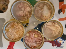 Кошки закуски