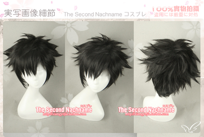 taobao agent TSN's second Fate ZERO modeling model: Thickening COS wigs ☆ 371
