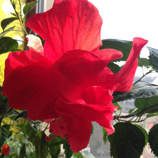 爱逛街为您找到秘密的书籍相关的宝贝,您可以在下面的板块中挑选喜欢