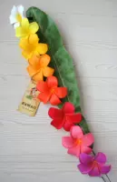 Гавайская травяная юбка танец красочный яйцо цветочный пляж голова головы цветочные украшения для волос аксессуары для волос