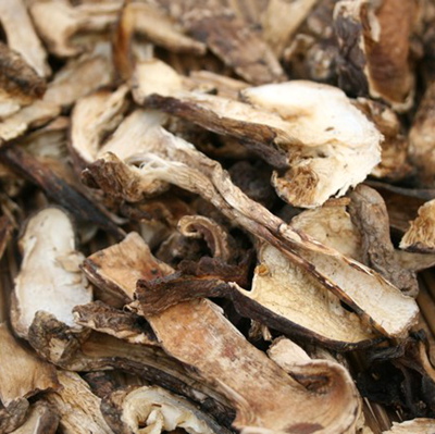 

Matsutake Naxi field 50