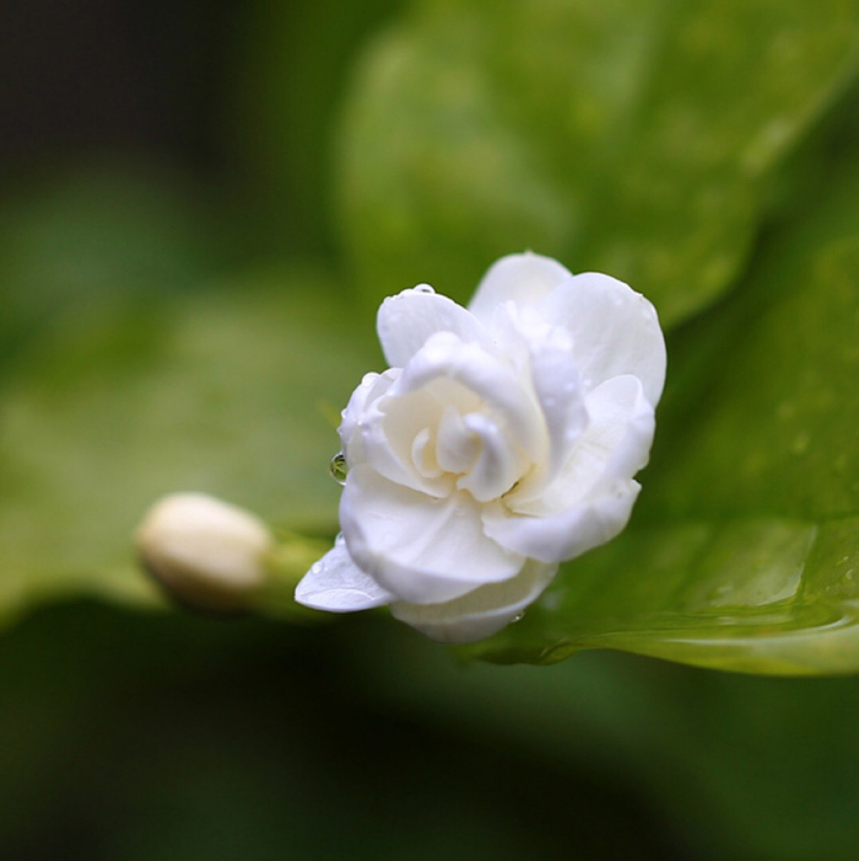 爱逛街为您找到短款小坎肩相关的宝贝,您可以在下面