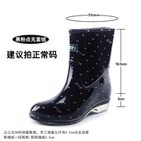 523 Черная порошковая точка