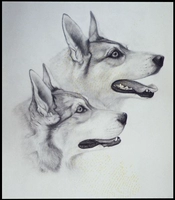 Su Xiu Diy Kit First Исследование рисунок на рисунок двойной собак Большой размер рисунок сердце 46*40 Новичок вход