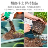 Садоводные поддоны грунтовые колодки изменяют семейство почвы. Семейство поднятия для утолщенного сочного посадки