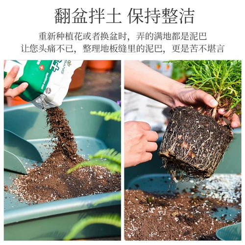 Садоводные поддоны грунтовые колодки изменяют семейство почвы. Семейство поднятия для утолщенного сочного посадки