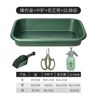 【Зеленый】 Одиночный горшок+средняя рыбка+кусок цветов+2 л зеленый горшок